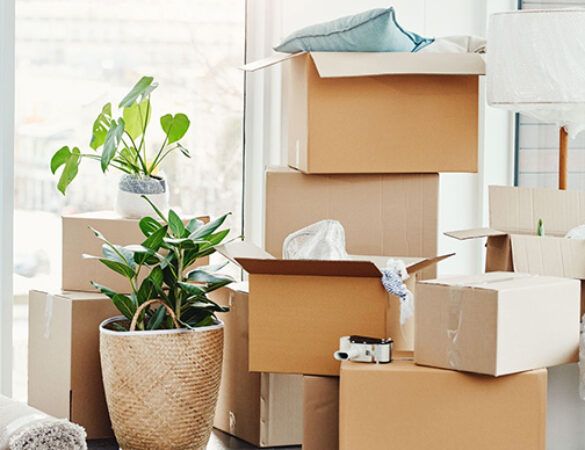 Your Reliable Interstate Removalist in Melbourne