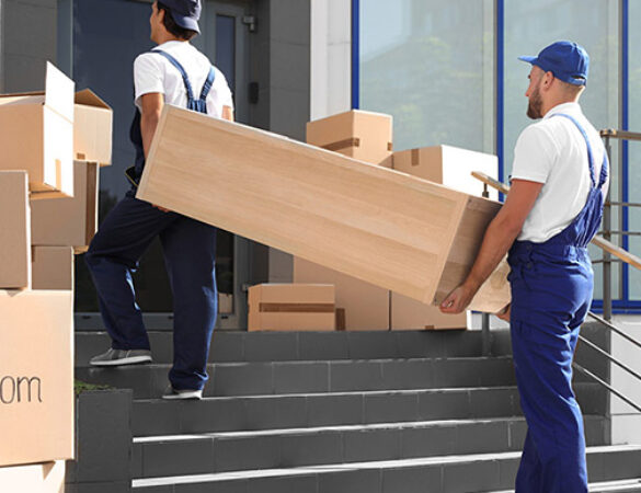 Reasons To Choose Interstate Removals Melbourne