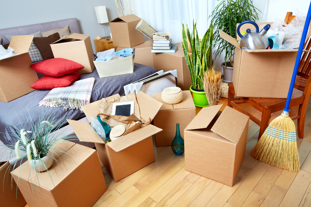 moving company in Surrey Hills